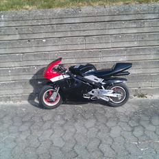 MiniBike Pocket Bike