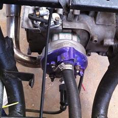 PGO Hot 50 ( Vild Katten)