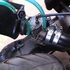 PGO Hot 50 ( Vild Katten)