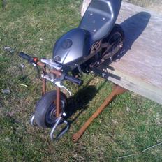 Adly pocketbike