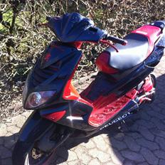 Peugeot speedfight 2 307 wrc