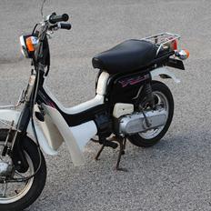 Suzuki Fz50