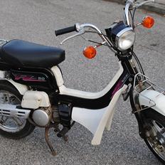 Suzuki Fz50