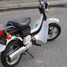 Suzuki Fz50