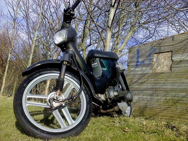 Honda Wallaroo billede 2