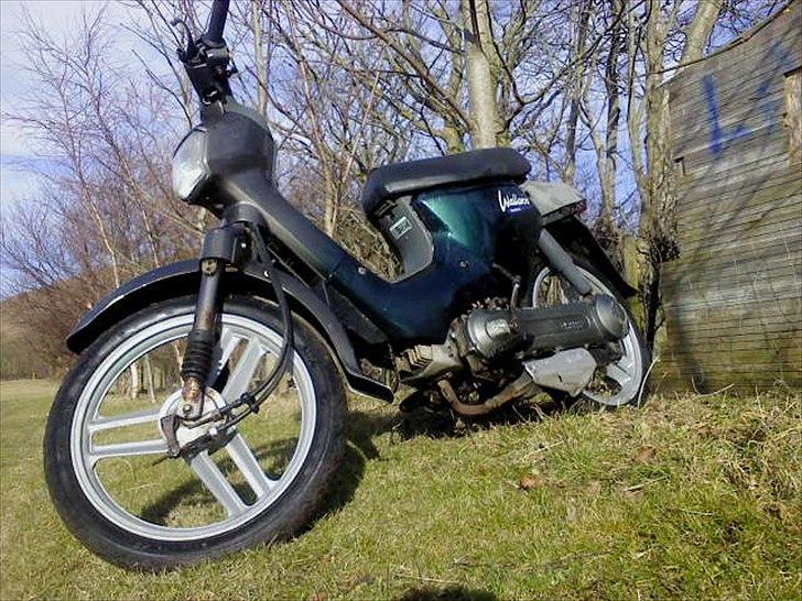 Honda Wallaroo billede 3