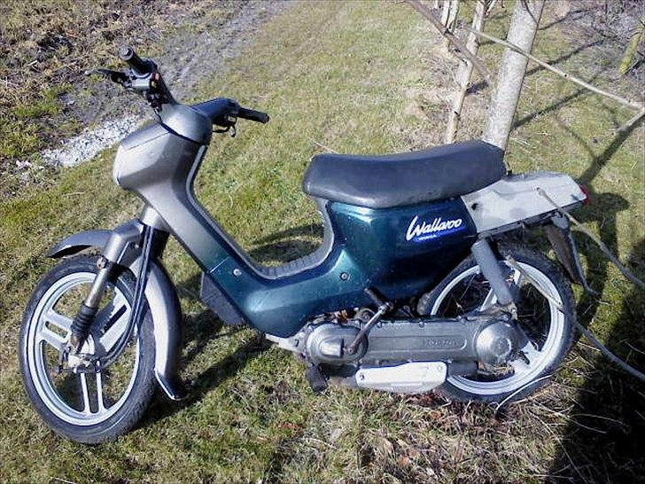 Honda Wallaroo billede 5