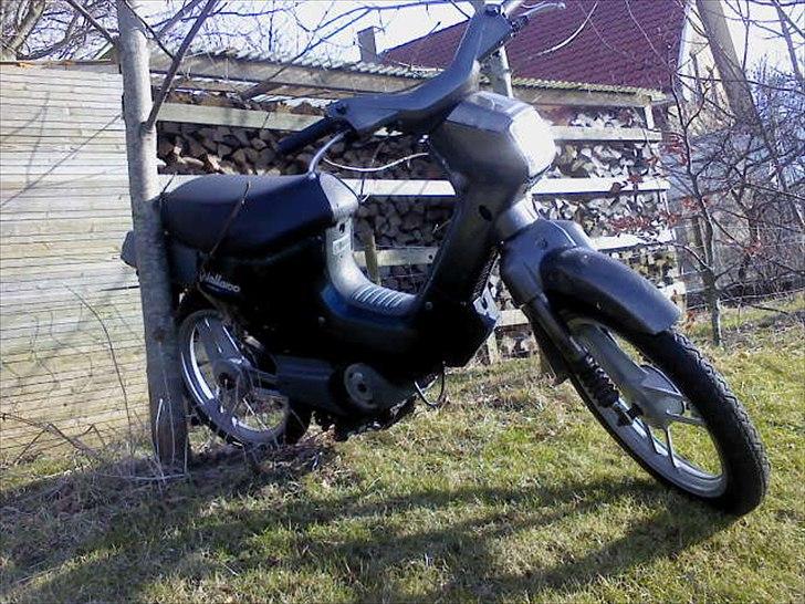 Honda Wallaroo billede 6