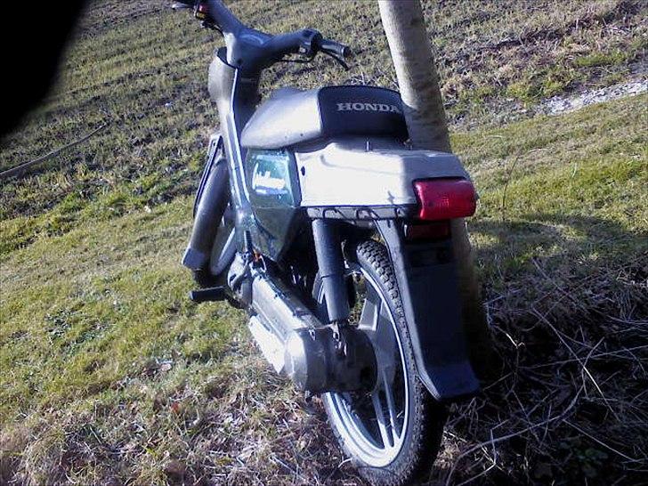 Honda Wallaroo billede 7