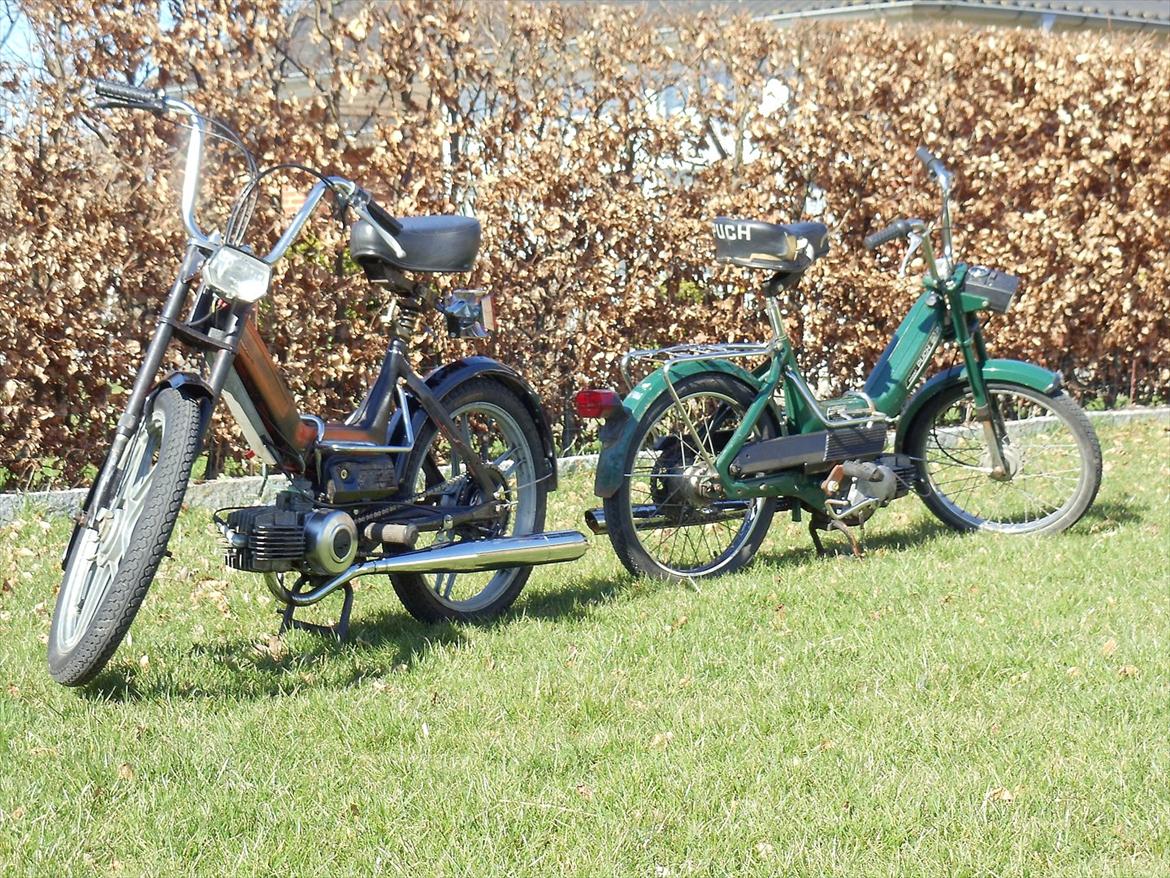 Puch Maxi K billede 9