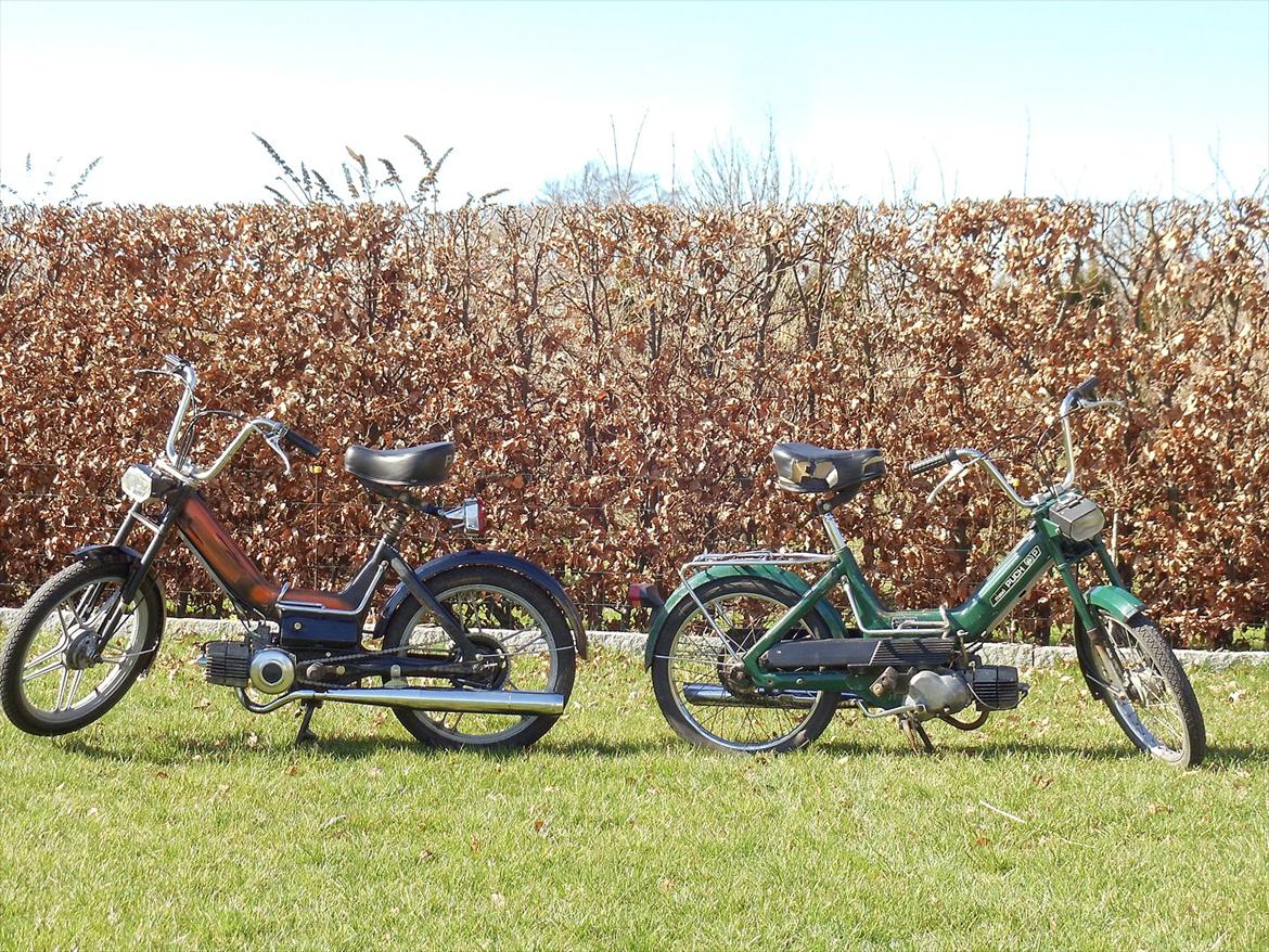 Puch Maxi K billede 10