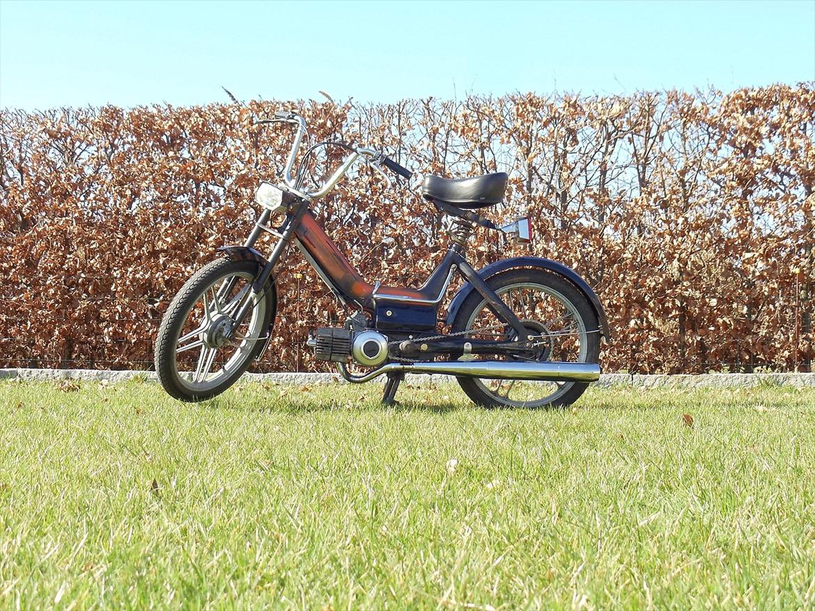 Puch Maxi K billede 11