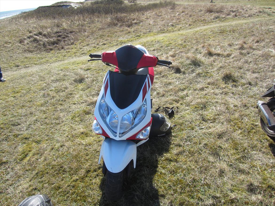 PGO G-Max -- Solgt billede 3