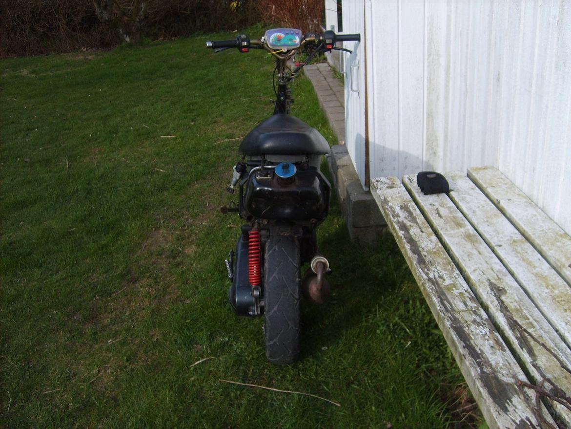 Adly Cat 50 (Solgt) billede 2