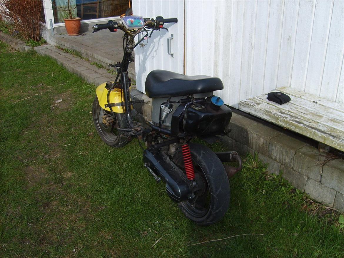 Adly Cat 50 (Solgt) billede 3