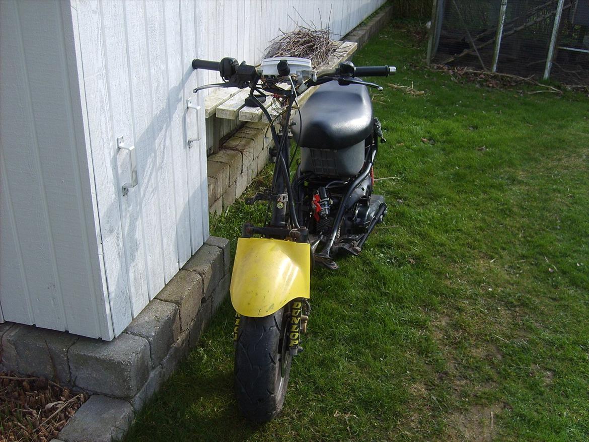 Adly Cat 50 (Solgt) billede 4