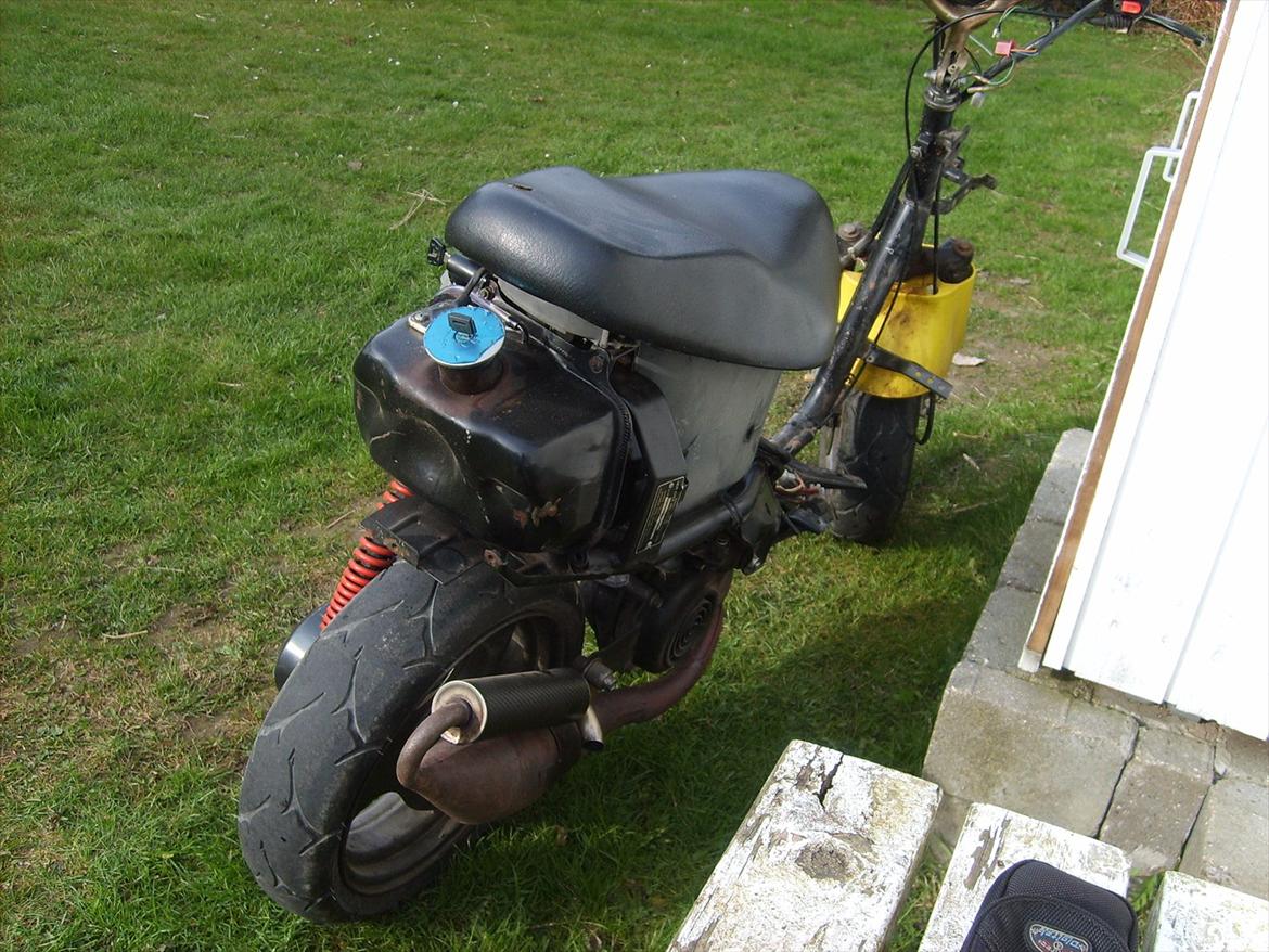 Adly Cat 50 (Solgt) billede 8