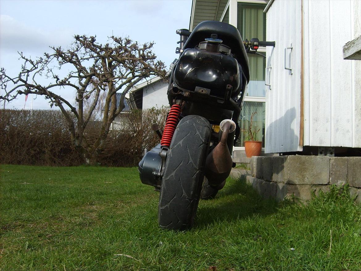 Adly Cat 50 (Solgt) billede 13