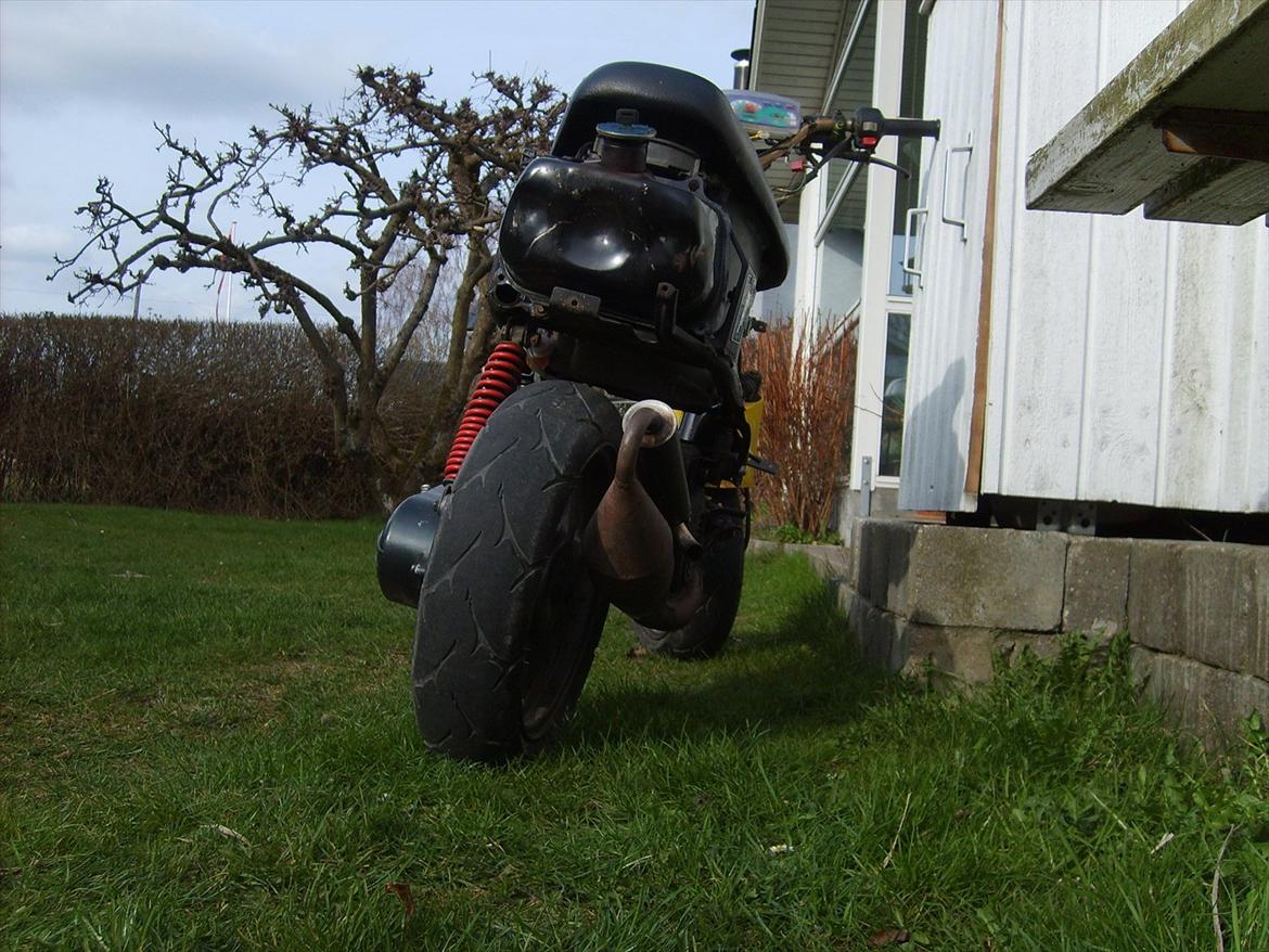 Adly Cat 50 (Solgt) billede 14