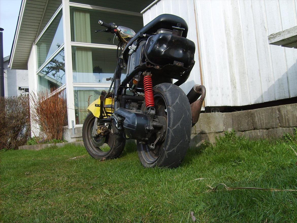 Adly Cat 50 (Solgt) billede 15