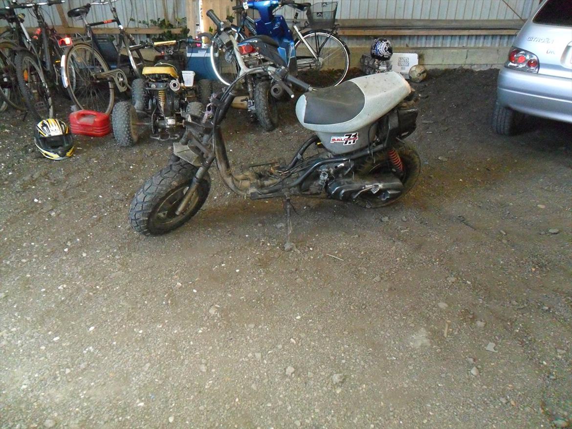 Adly silverfox  billede 2