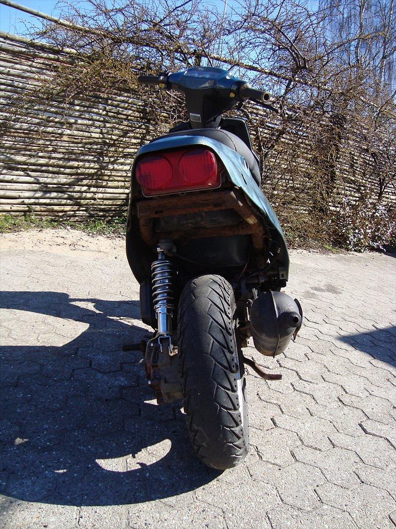 PGO Hot50 Kamæleon billede 5