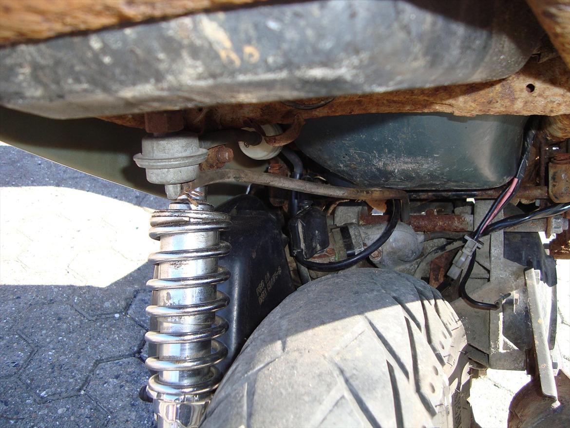 PGO Hot50 Kamæleon billede 13