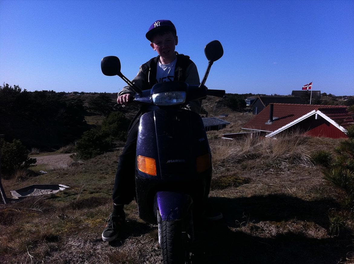 Piaggio zip billede 8