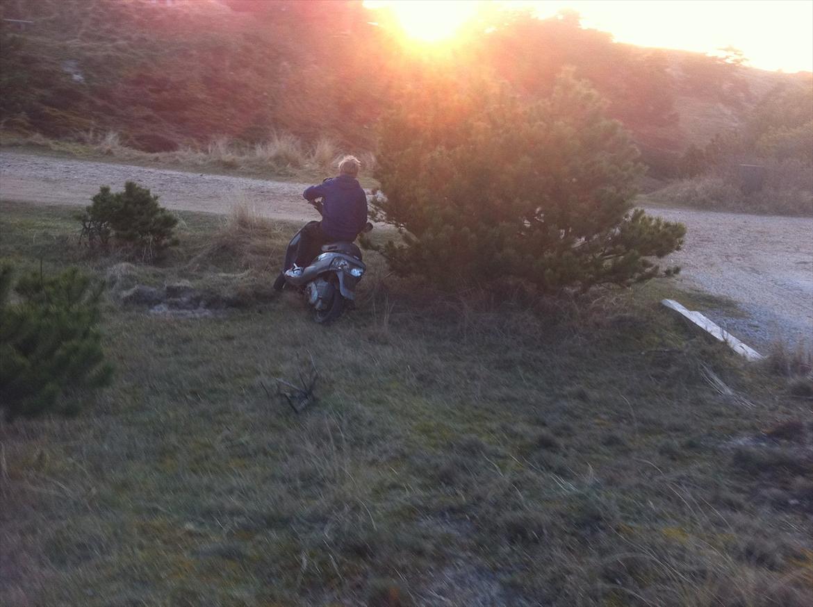 Piaggio zip billede 10