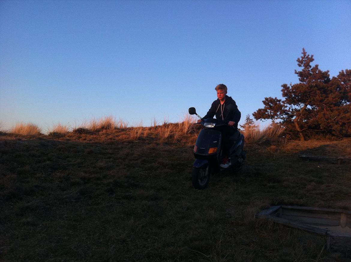 Piaggio zip billede 11