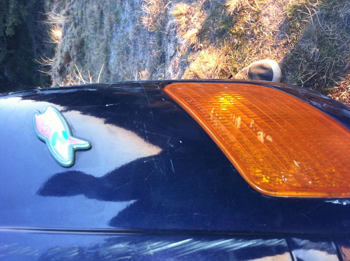 Piaggio zip billede 14