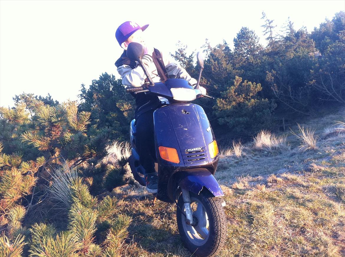 Piaggio zip billede 18