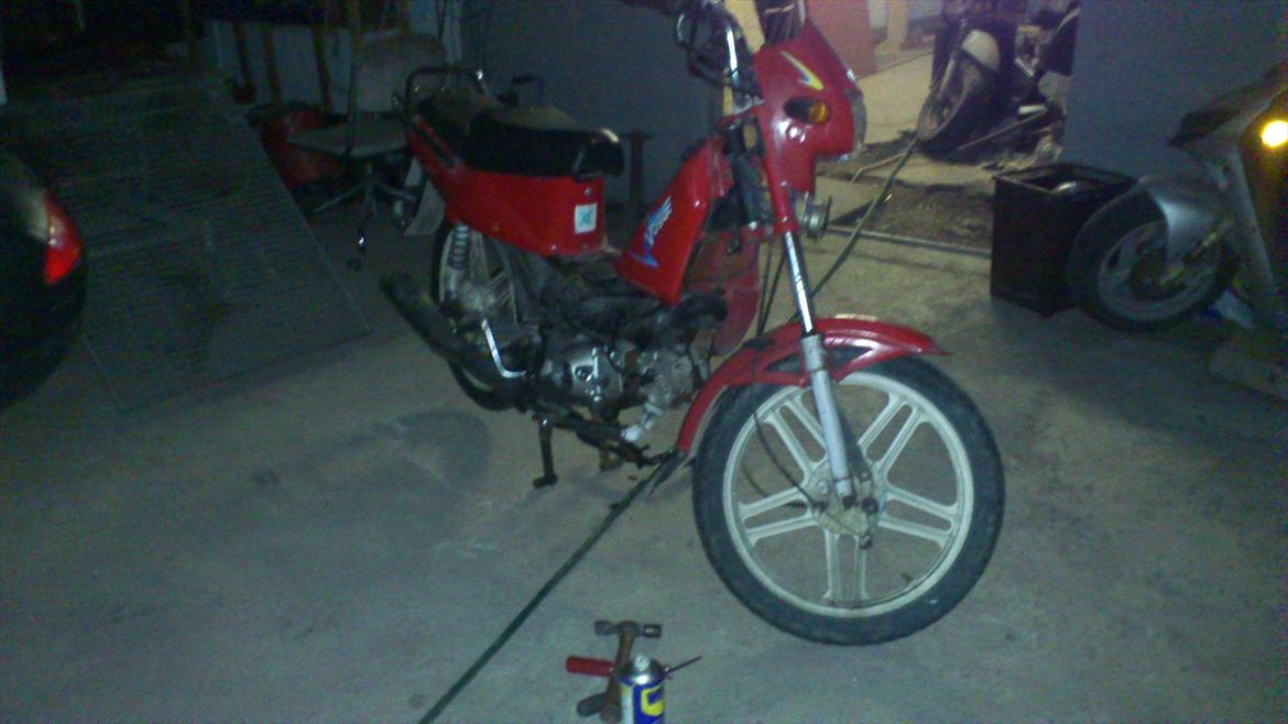 Gizmo hero billede 5