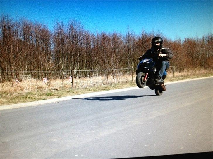 Aprilia sonic billede 1