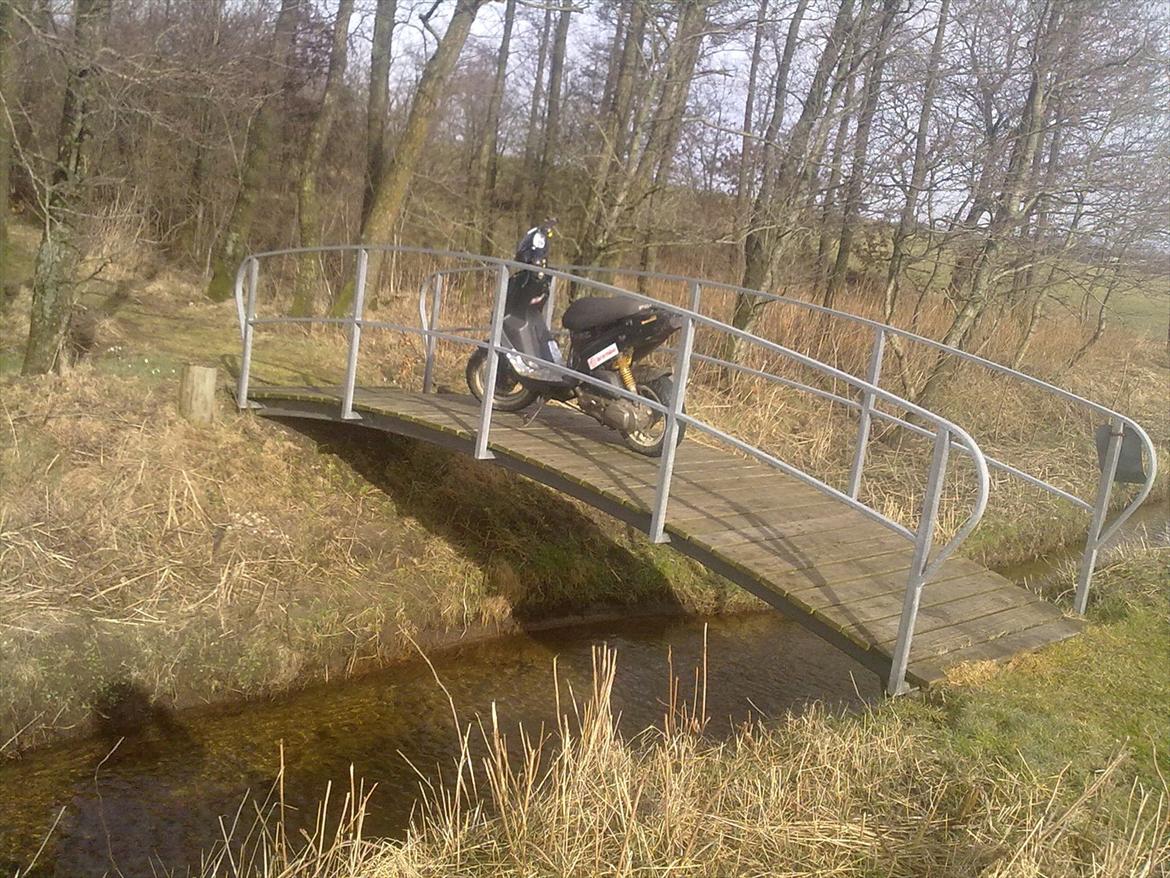 PGO hot 50 billede 4