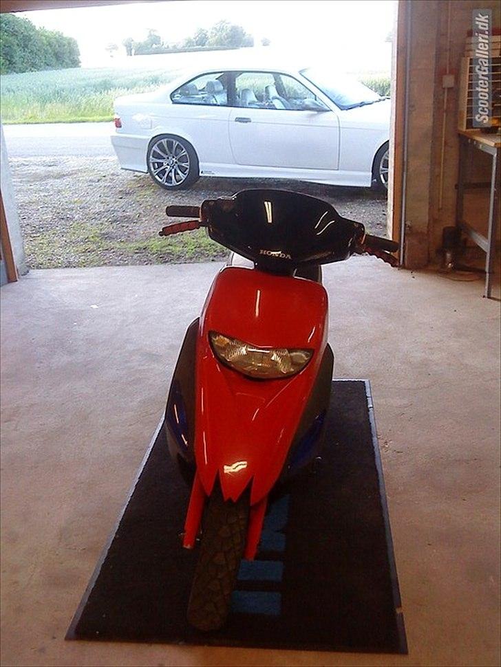 Honda Sfx billede 6