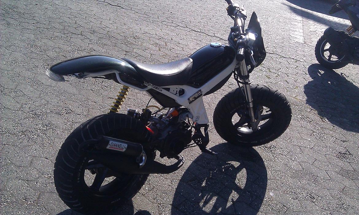 Suzuki Street magic billede 5