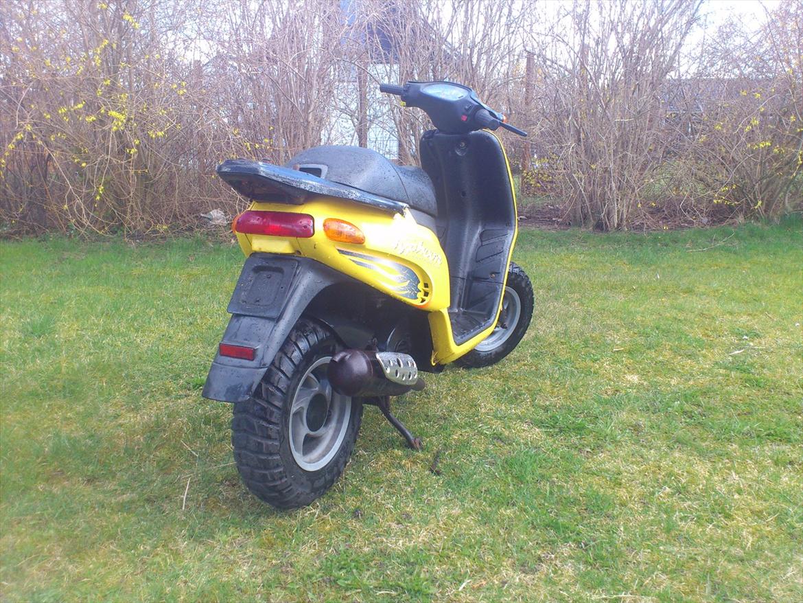 Piaggio typhoon billede 2