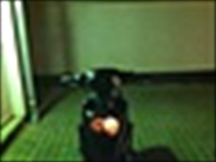 PGO hot50 - FØR billede 2