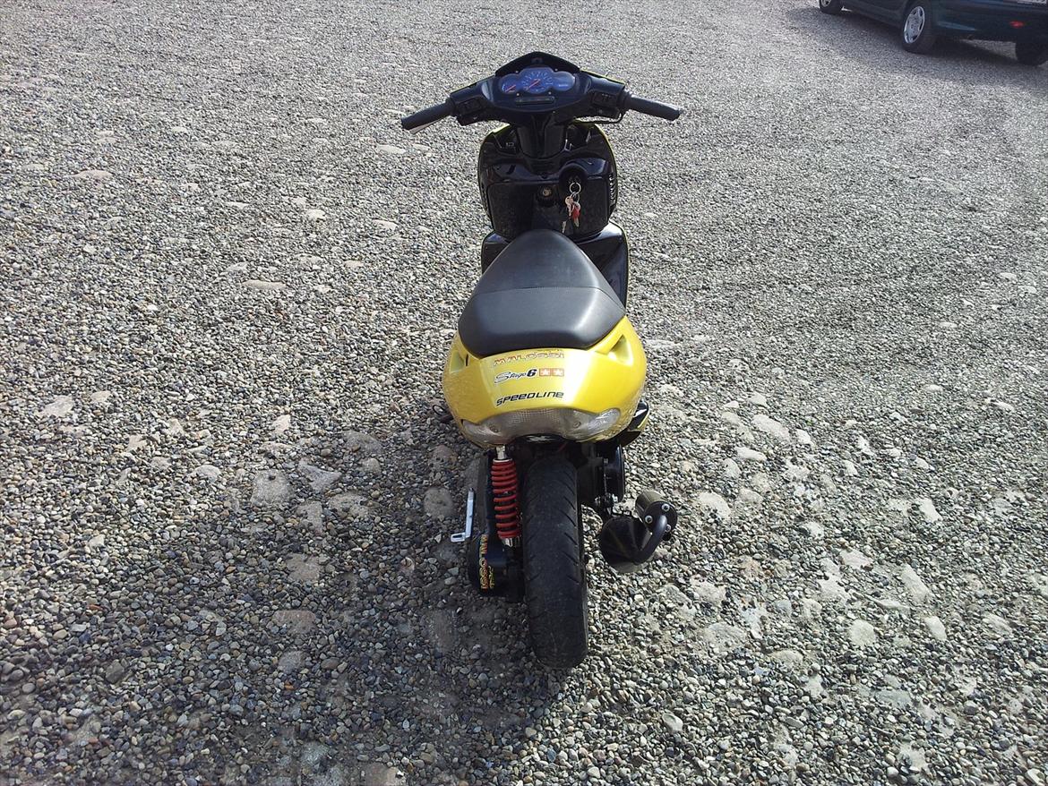 Aprilia Sonic billede 7