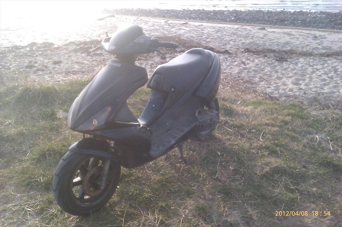 Benelli 491 GT Skrottet billede 8