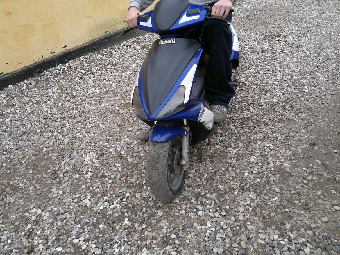 Benelli 491 billede 3