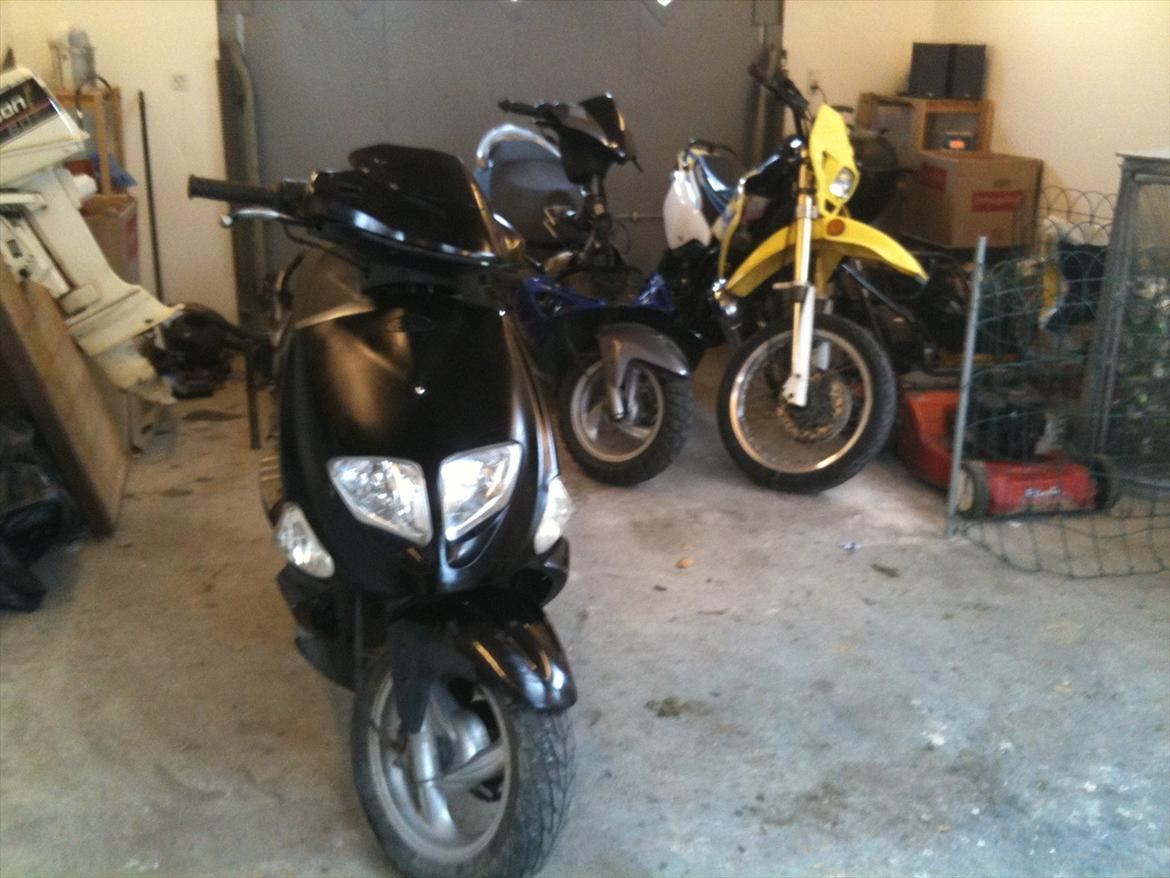 PGO dr.big solgt billede 4