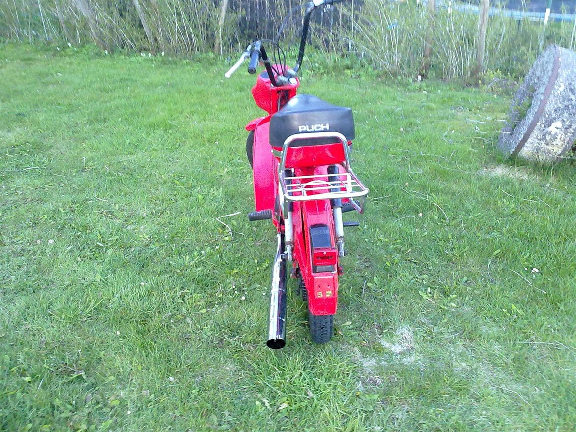 Puch Mini Maxi billede 3