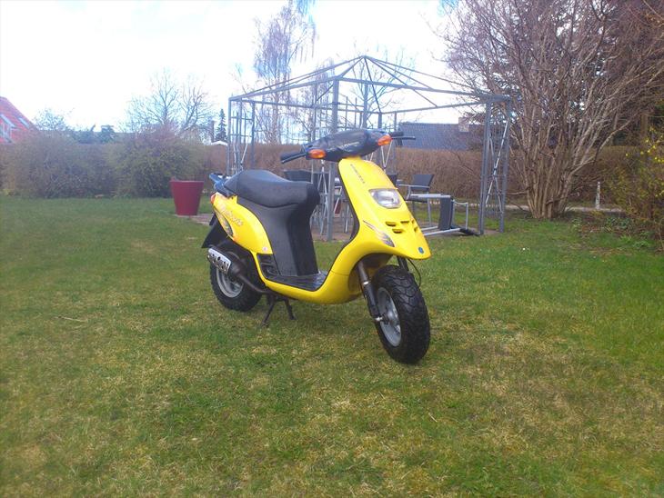 Piaggio typhoon billede 1