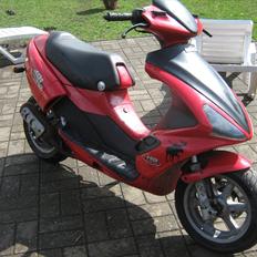 Benelli 491 lc dd solgt