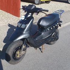 Peugeot Squab the skull