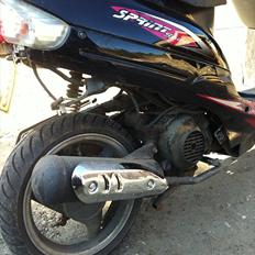 Giantco Sprint Sport