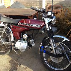 Yamaha FS1 DX