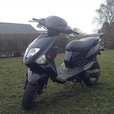 PGO Dr. Big (Dr. Black)